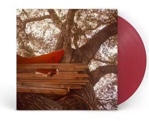 Backseat Lovers - Waiting To Spill (Anniversary Edition) LP NEW