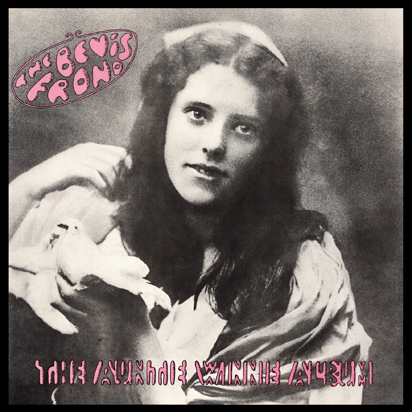 Bevis Frond - The Auntie Winnie Album 2LP NEW