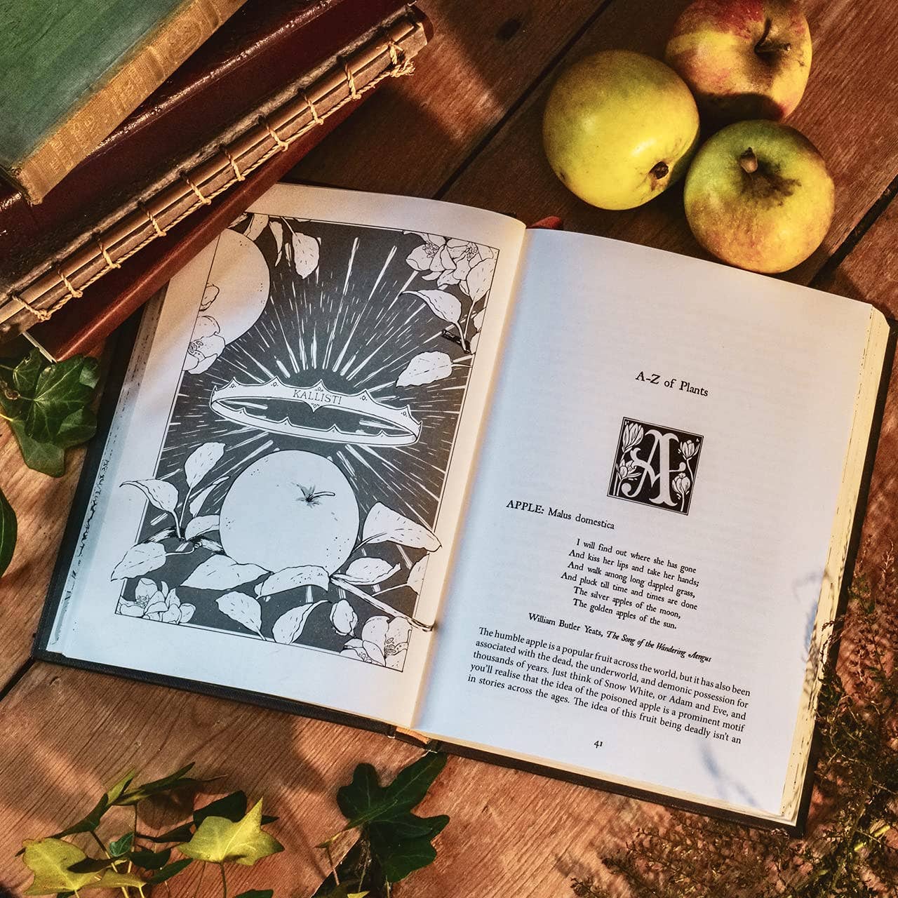Botanical Curses and Poisons: The Shadow-Lives of Plants - Image 3