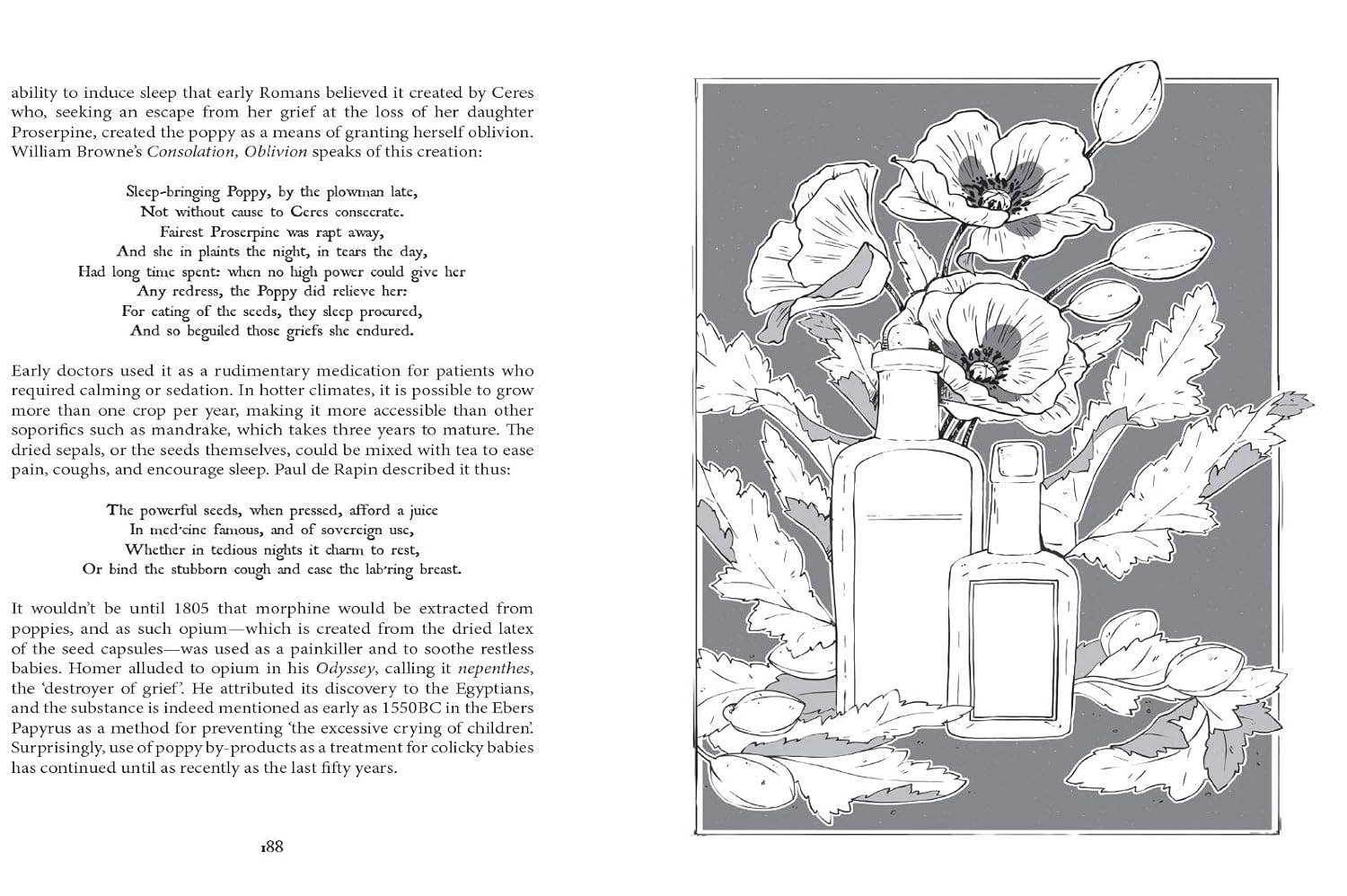 Botanical Curses and Poisons: The Shadow-Lives of Plants - Image 6