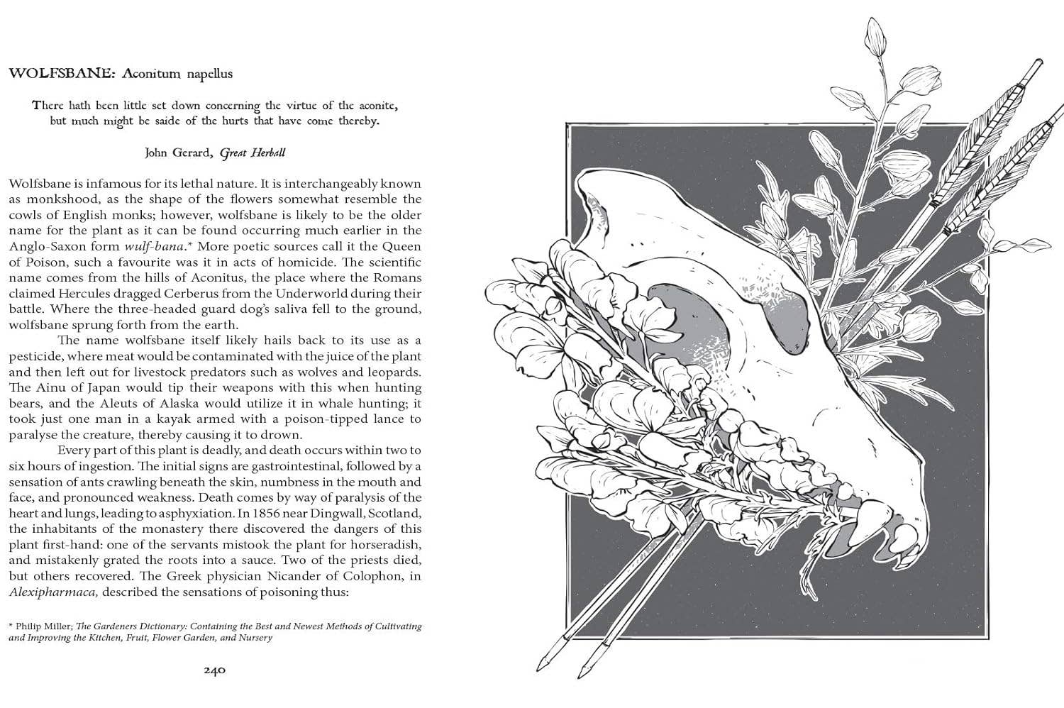 Botanical Curses and Poisons: The Shadow-Lives of Plants - Image 7