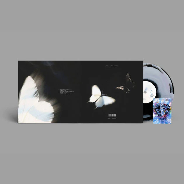 Chase Atlantic - Dalliance LP NEW