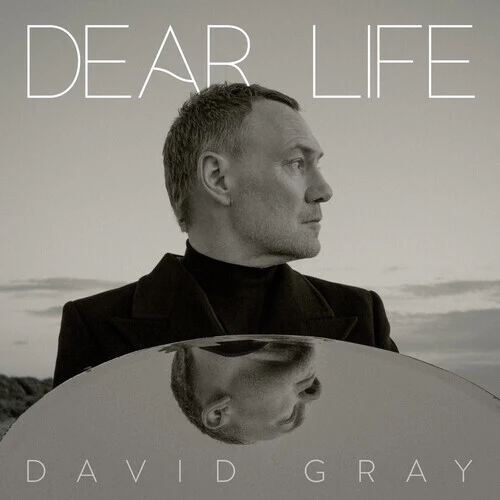 David Gray - Dear Life 2LP NEW