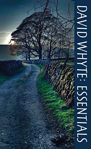 David Whyte: Essentials - Paperback