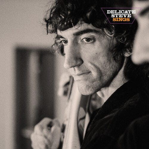 Delicate Steve - Delicate Steve Sings LP NEW