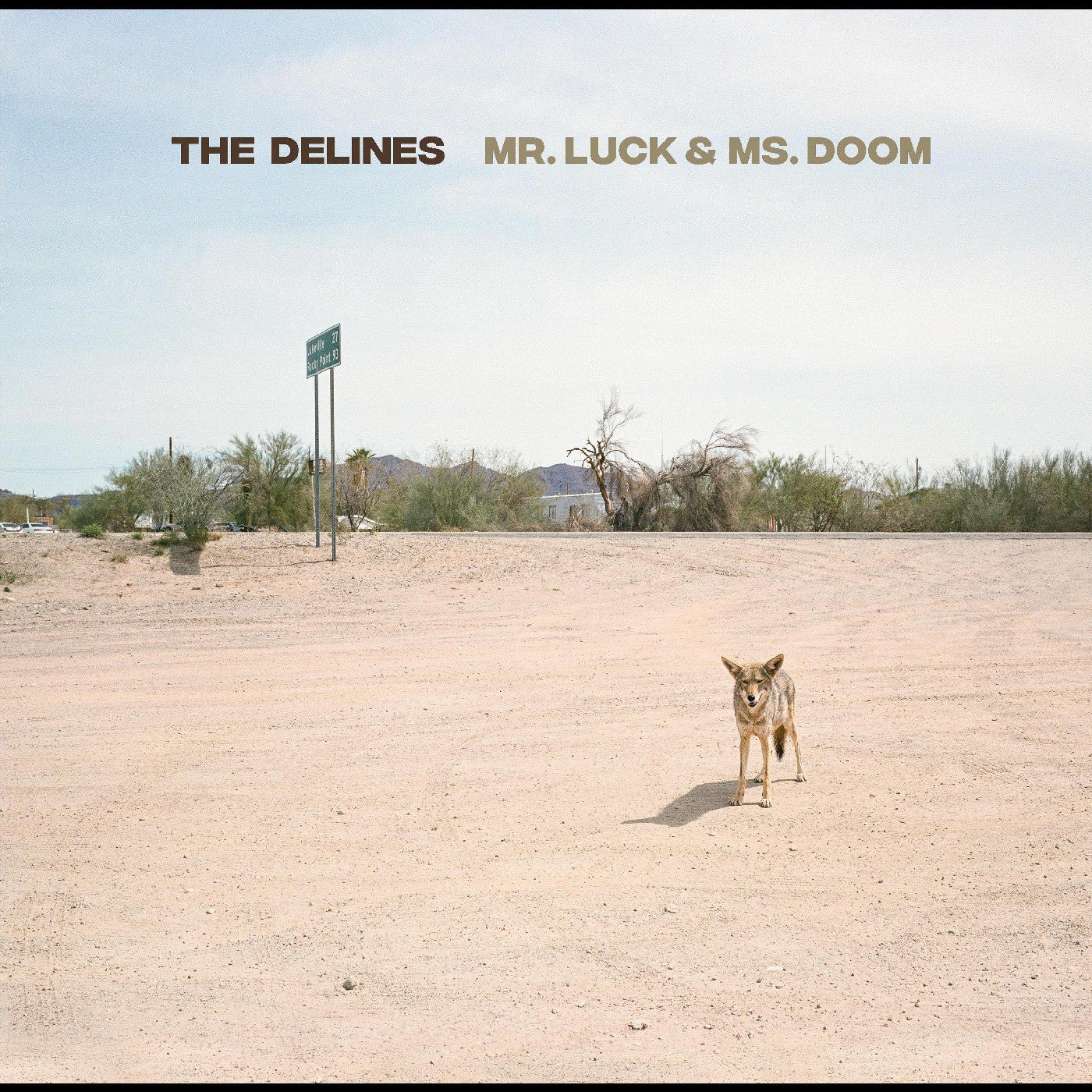 Delines - Mr. Luck & Ms. Doom LP NEW