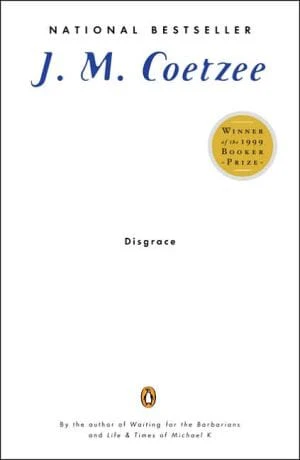 Disgrace: A Novel - Paperback