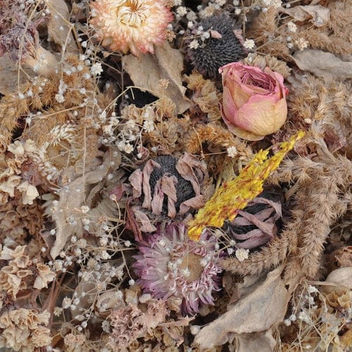 Drowse - Cold Air LP NEW