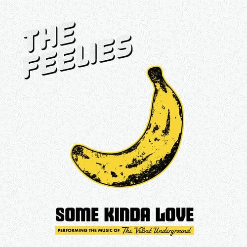 Feelies - Some Kinda Love: Performing The Music Of The Velvet Underground 2LP NEW