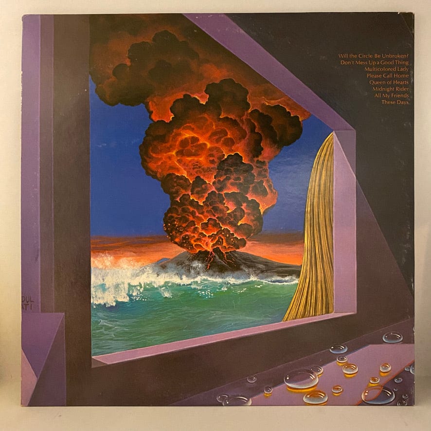 Gregg Allman – Laid Back LP USED NM/VG+ 1973 Pressing - Image 2