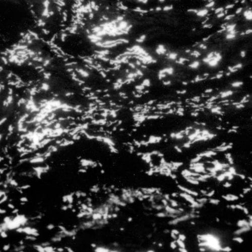 Grouper - Aia: Dream Loss LP NEW