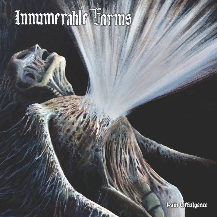 Innumerable Forms - Pain Effulgence LP NEW