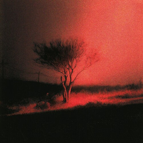 Joji - Piss In The Wind LP NEW