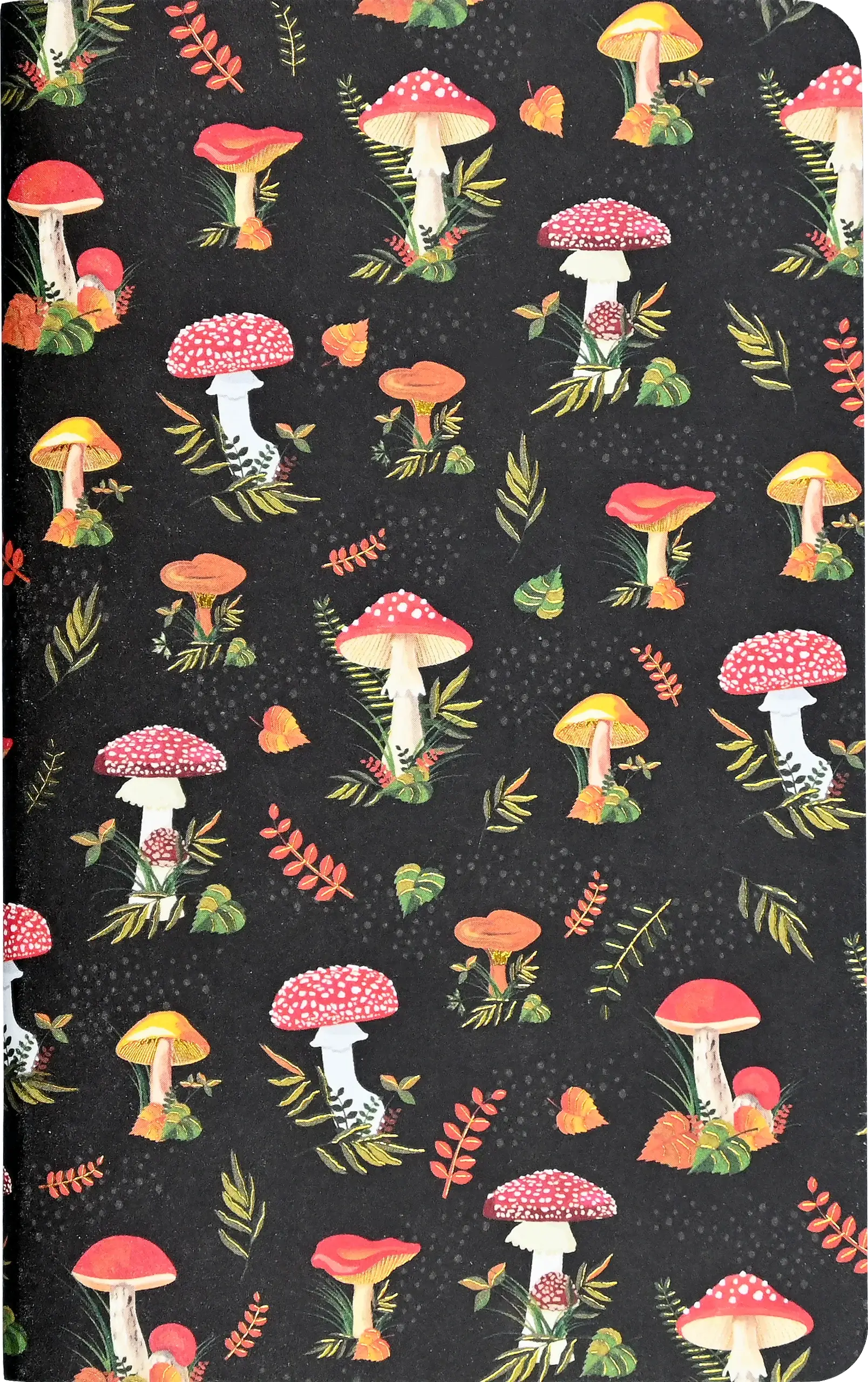 Jotter Mini Notebook Sets: Mushrooms - Image 3
