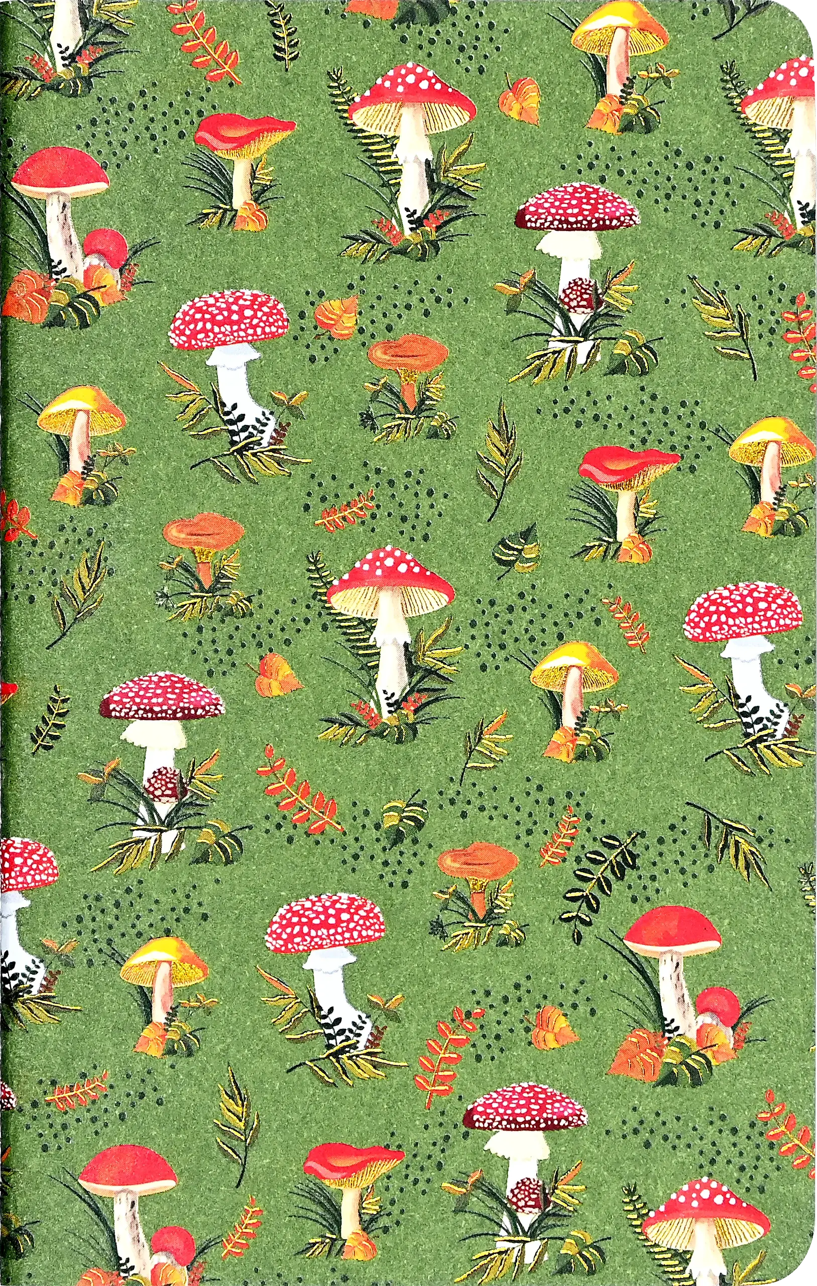 Jotter Mini Notebook Sets: Mushrooms - Image 5