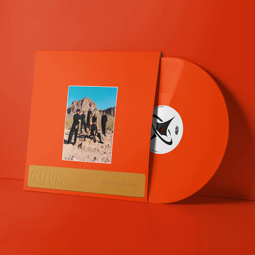 Leisure - Welcome to the Mood LP NEW