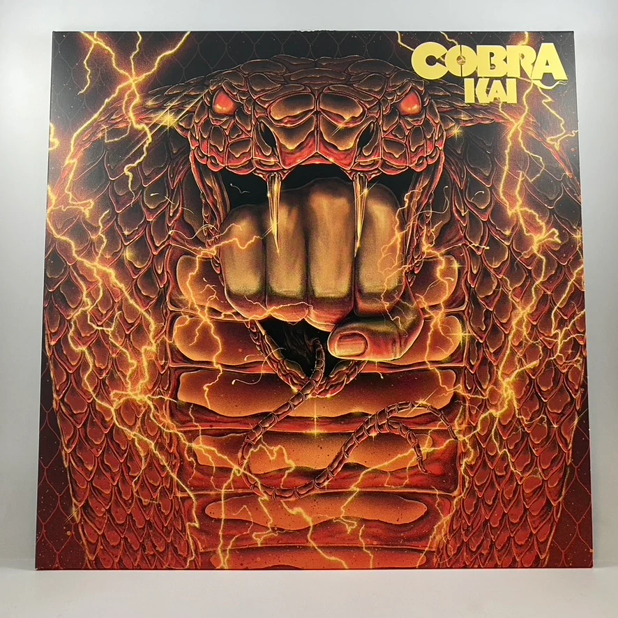 Leo Birenberg And Zach Robinson – Cobra Kai Box Set LP USED Vinyl VG+/VG+ Color Vinyl - Image 3
