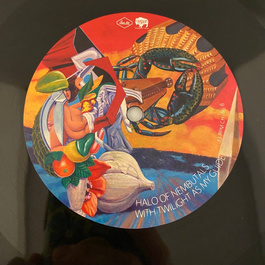 Mars Volta – La Realidad De Los Sueños 18LP USED VG+/VG++ Box Set - Image 41