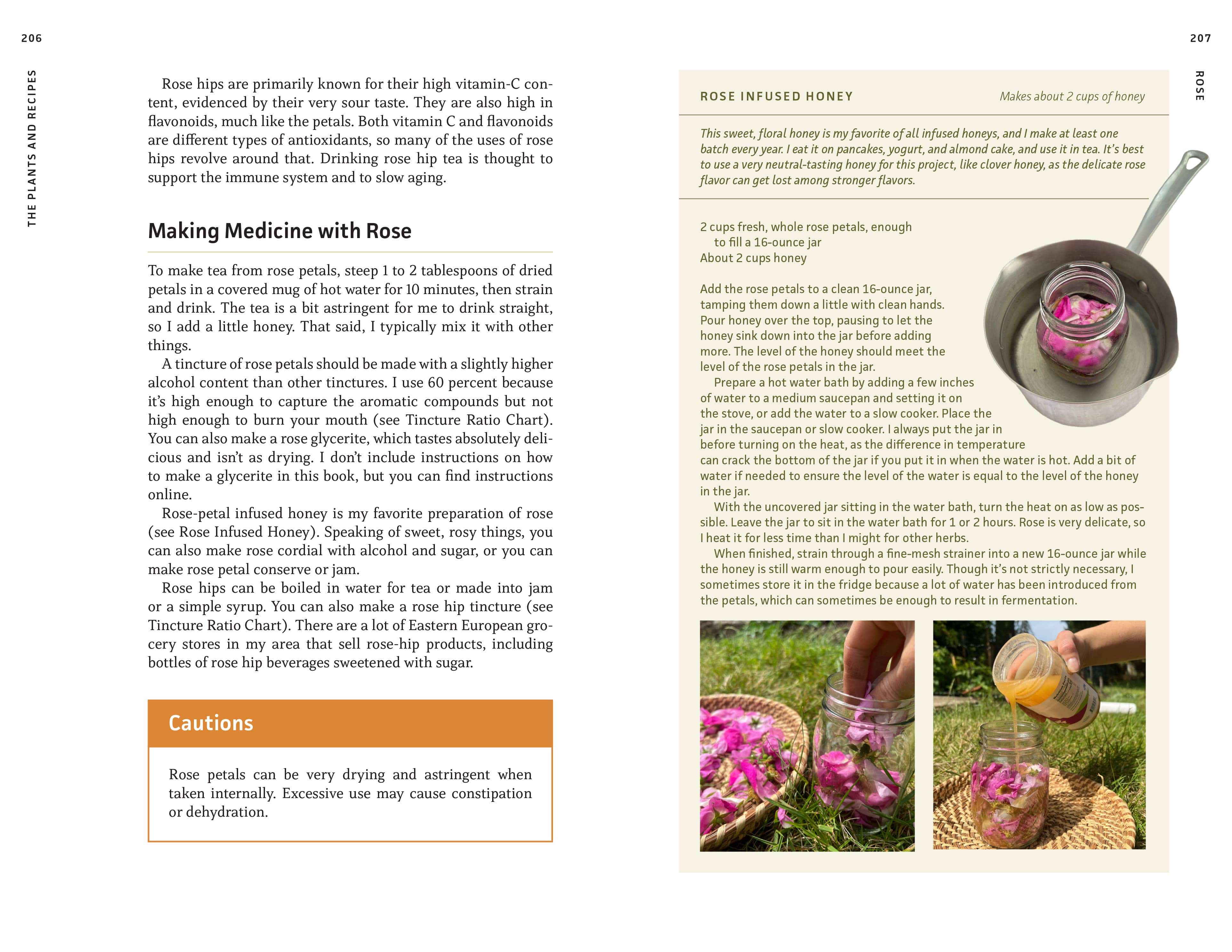 Medicinal Plants of the Pacific Northwest - Image 3