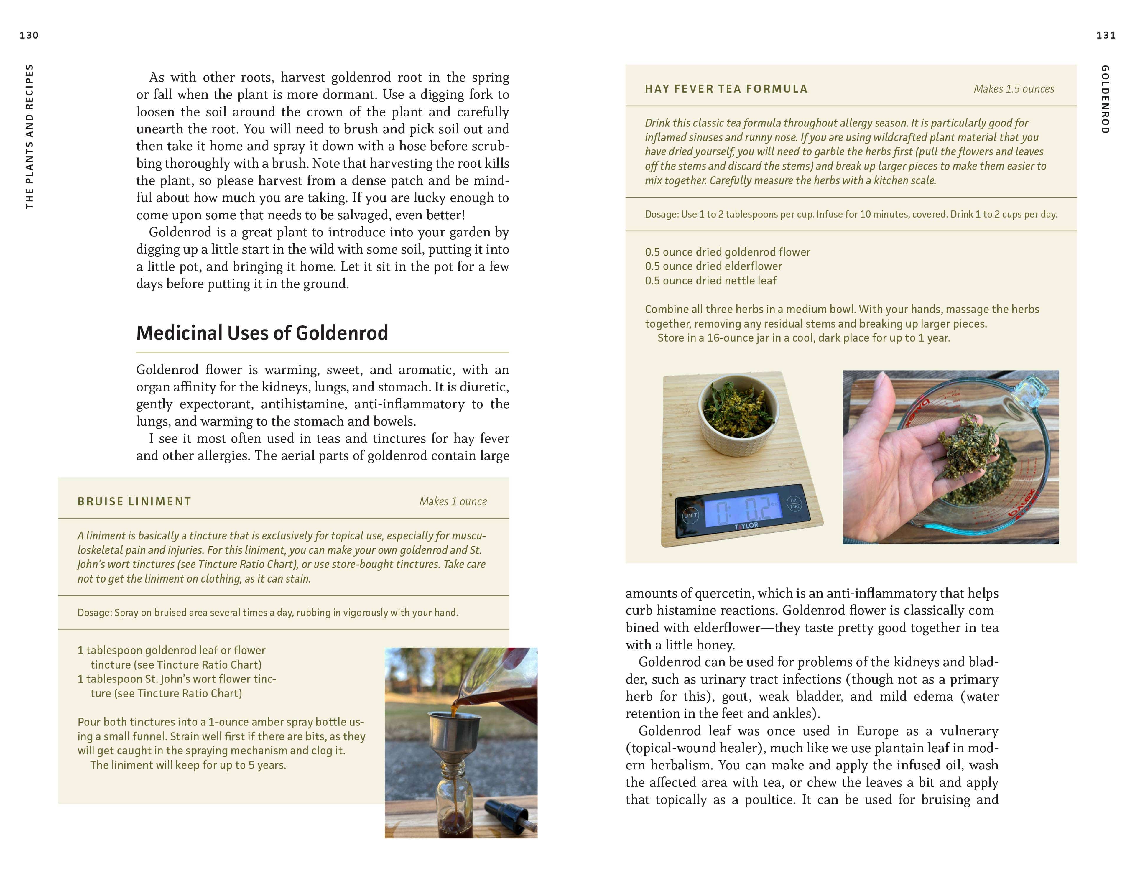 Medicinal Plants of the Pacific Northwest - Image 4