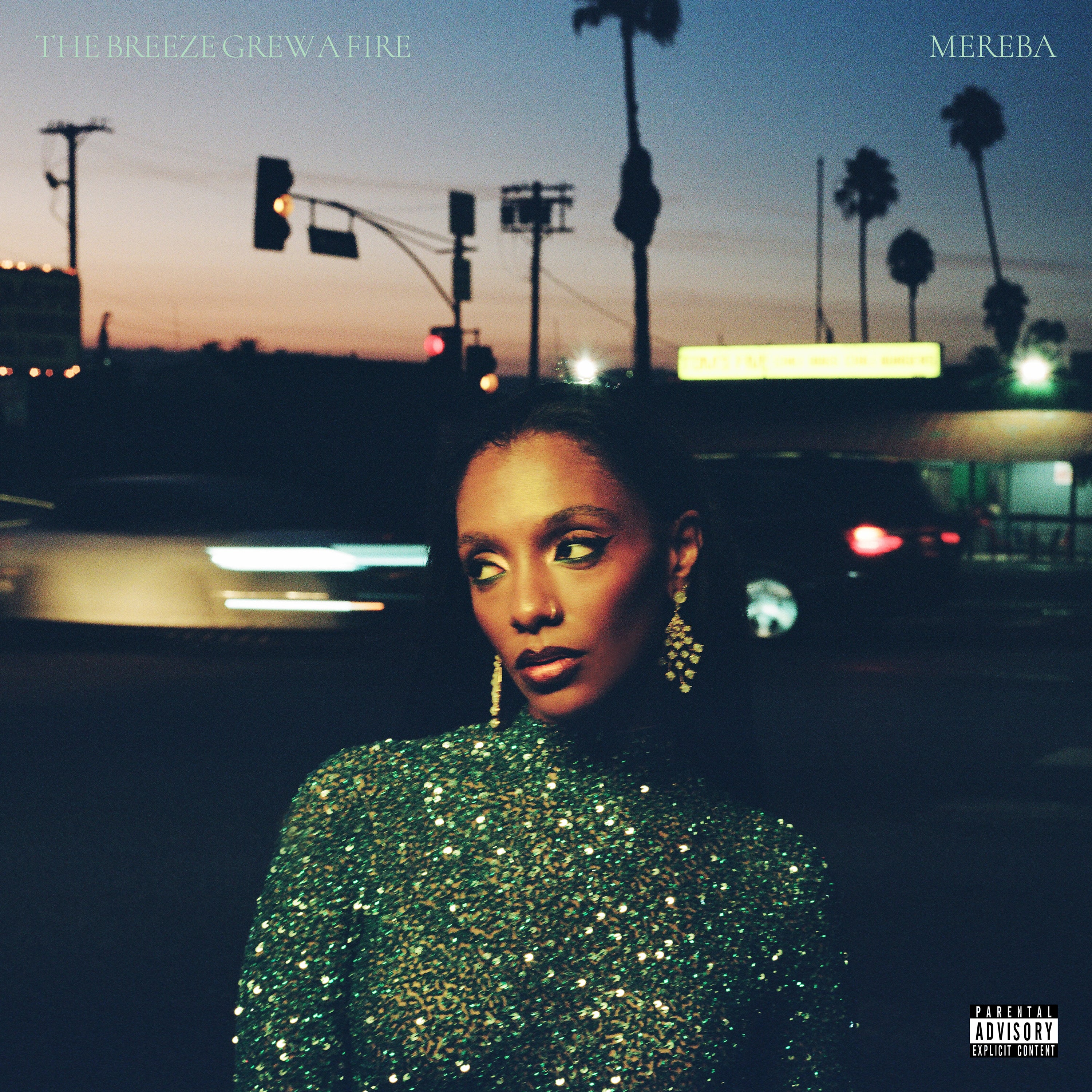 Mereba - The Breeze Grew a Fire LP NEW COLOR VINYL