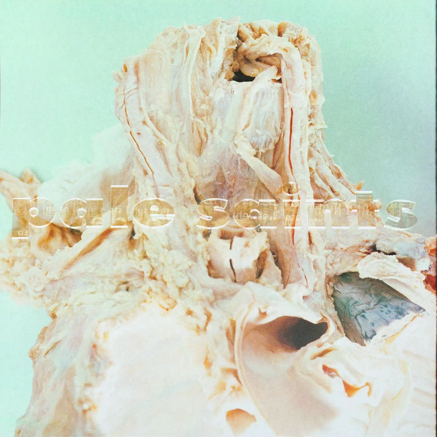 Pale Saints - In Ribbons LP NEW