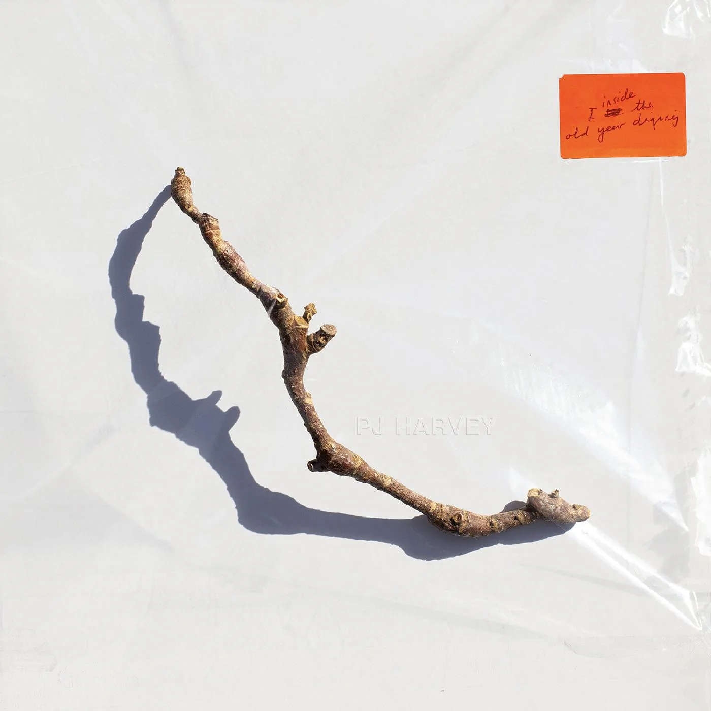 PJ Harvey - I Inside the Old Year Dying LP NEW