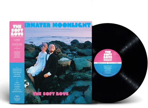 Soft Boys - Underwater Moonlight LP NEW BLACK VINYL