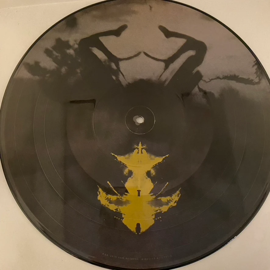 Soundgarden – Echo Of Miles (Scattered Tracks Across The Path) 6LP Box Set USED VG++/VG+ Picture Disc - Image 14