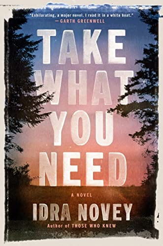 Take What You Need: A Novel - Novey, Idra - Hardcover