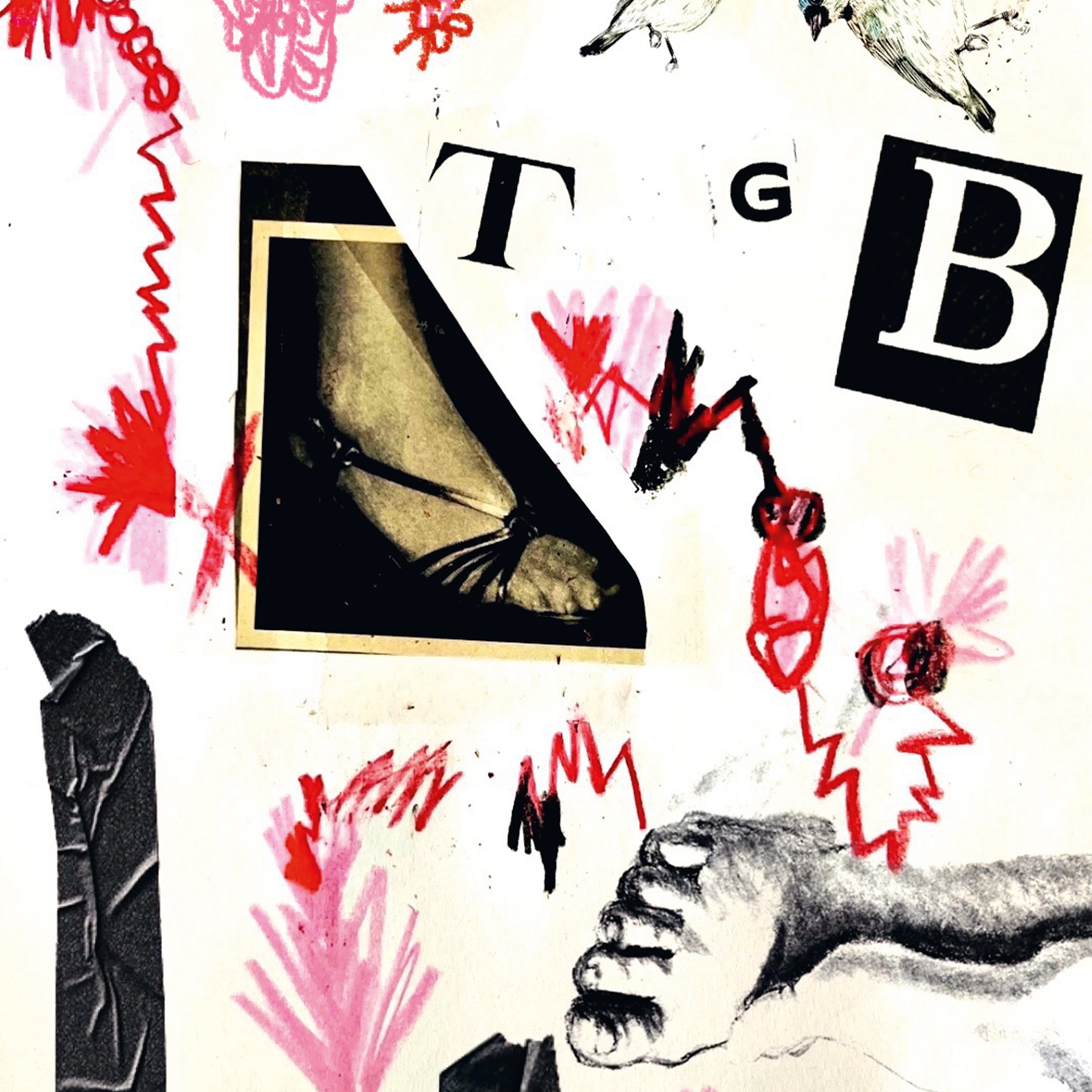 Teri Gender Bender - TGB LP NEW