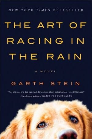 The Art of Racing in the Rain: A Novel - Paperback