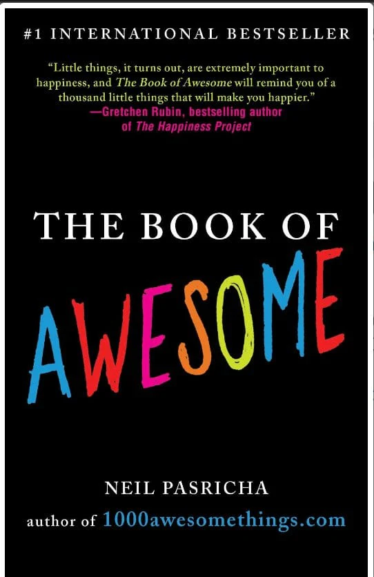 The Book of Awesome: Snow Days, Bakery Air, Finding Money in Your Pocket, and Other Simple, Brilliant Things (Book of Awesome) - Pasricha, Neil (Author)