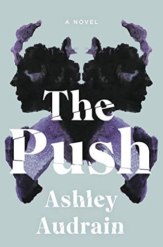 The Push: A Novel - Hardcover