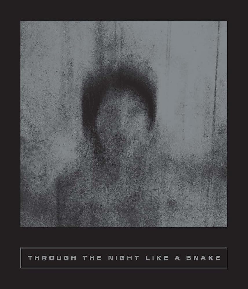 Through the Night Like a Snake: Latin American Horror Stories (Calico Series) by Mónica Ojeda, Tomás Downey, Camila Sosa Villada, Julián Isaza, Maximiliano Barrientos, Mariana Enriquez, Lina Munar Guevara, Antonio Diza Oliva, Sarah Coolidge