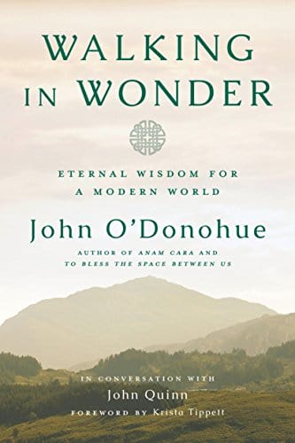 Walking in Wonder: Eternal Wisdom for a Modern World - Hardcover