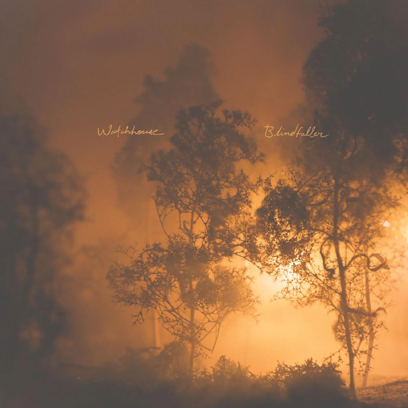 Watchhouse - Blindfaller LP NEW