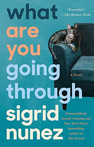 What Are You Going Through: A Novel - Paperback