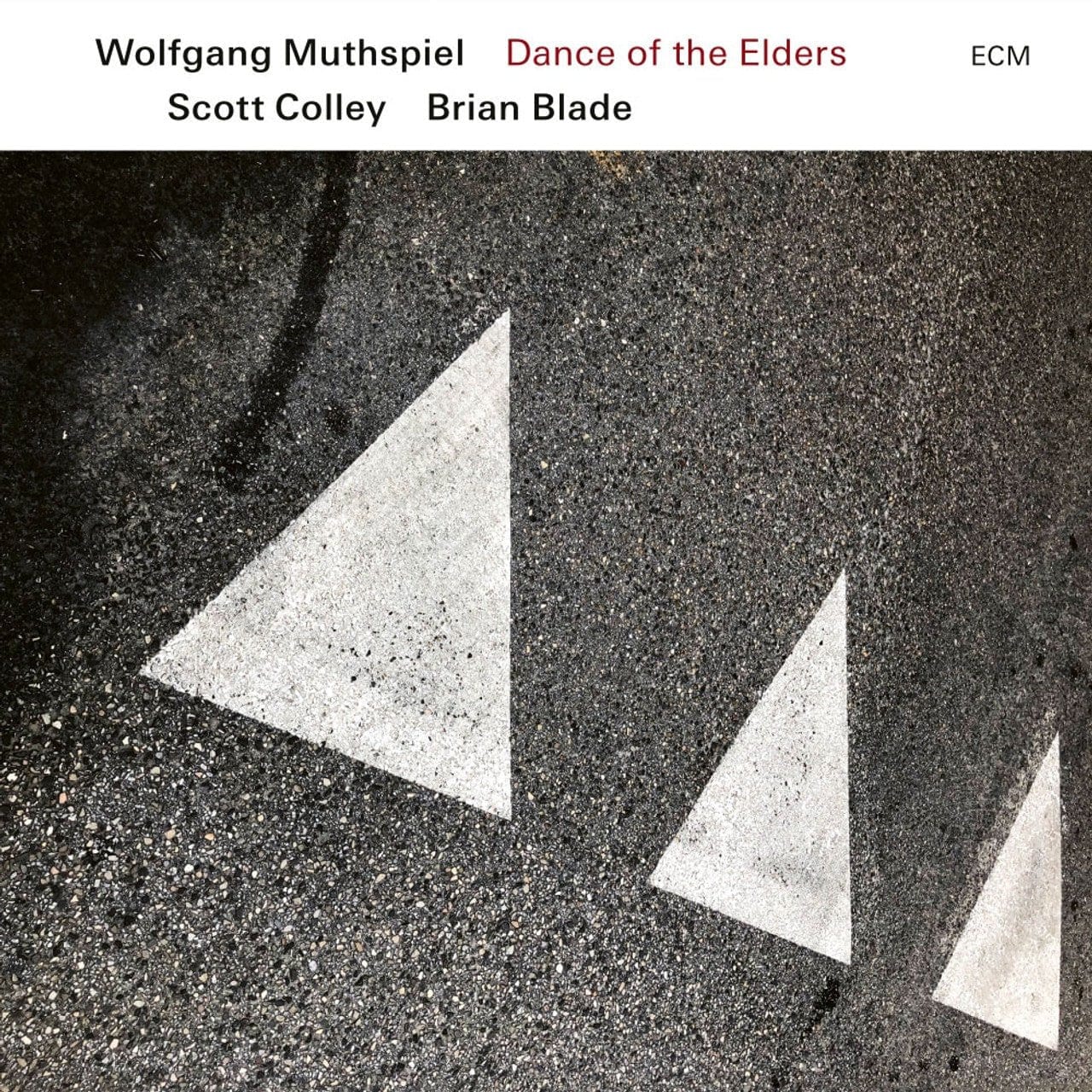 Wolfgang Muthspiel / Scott Colley / Brian Blade - Dance of the Elders LP NEW